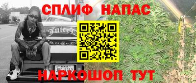 прущие грибы Лесосибирск