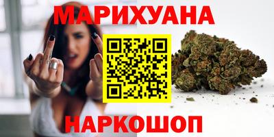прущие грибы Лесосибирск